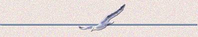 Seagull bar divider